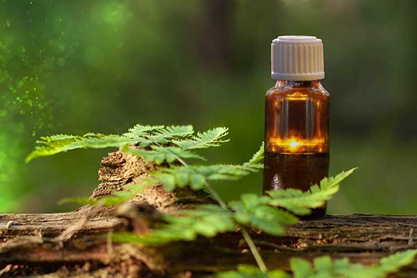 Aromathérapie Aromathérapie